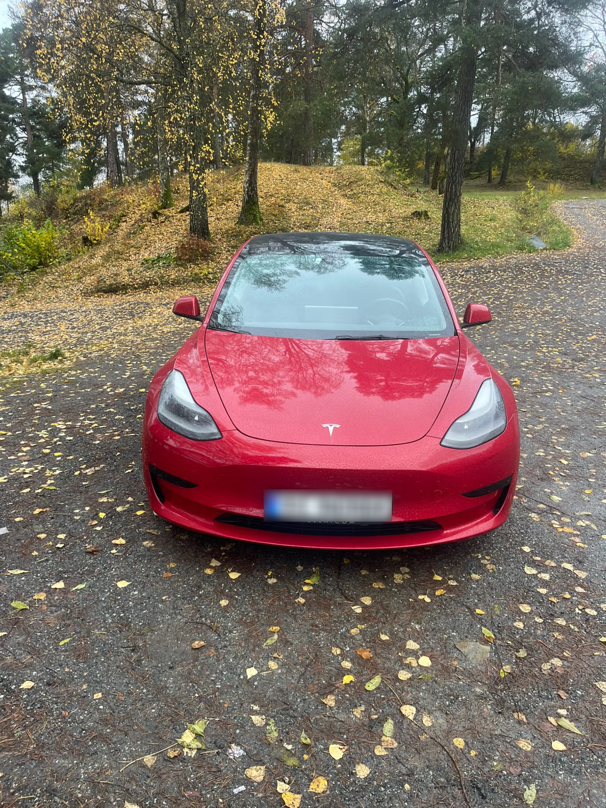 Tesla Model 3 Standard Range Plus 2021 15