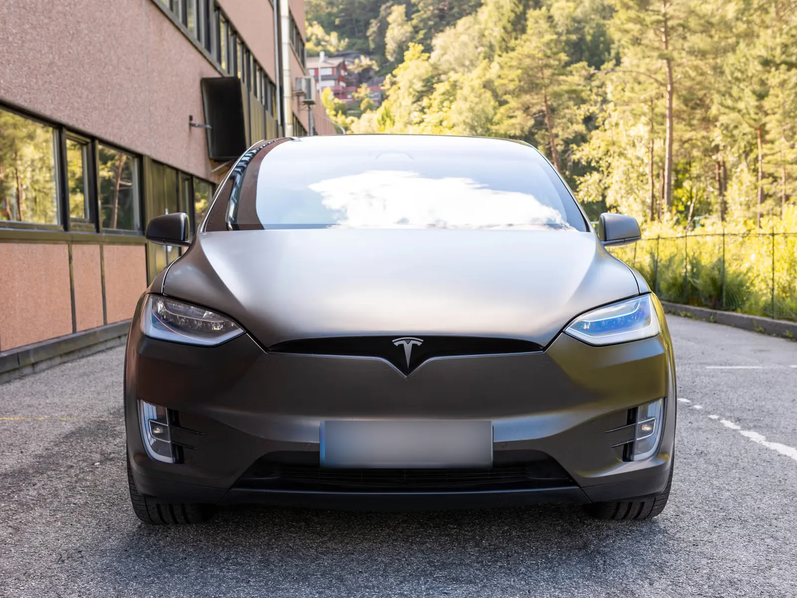 Tesla Model X 100D 2017 2