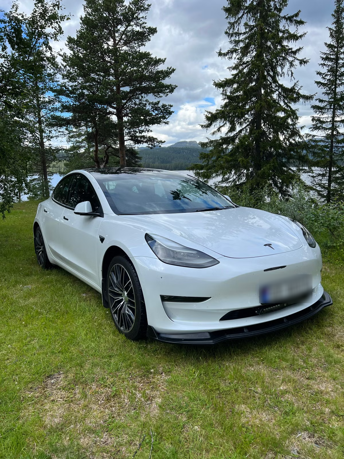 Tesla Model 3 2022 1
