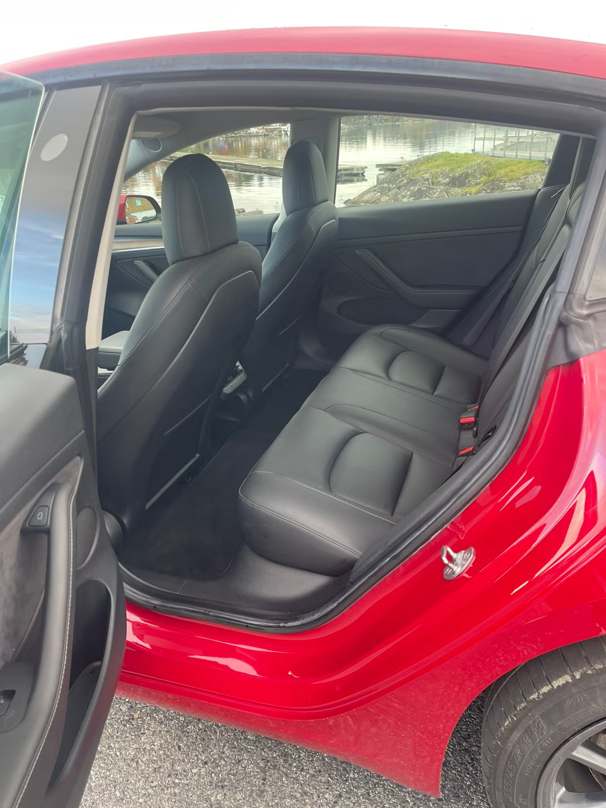 Tesla Model 3 Standard Range Plus 2021 5