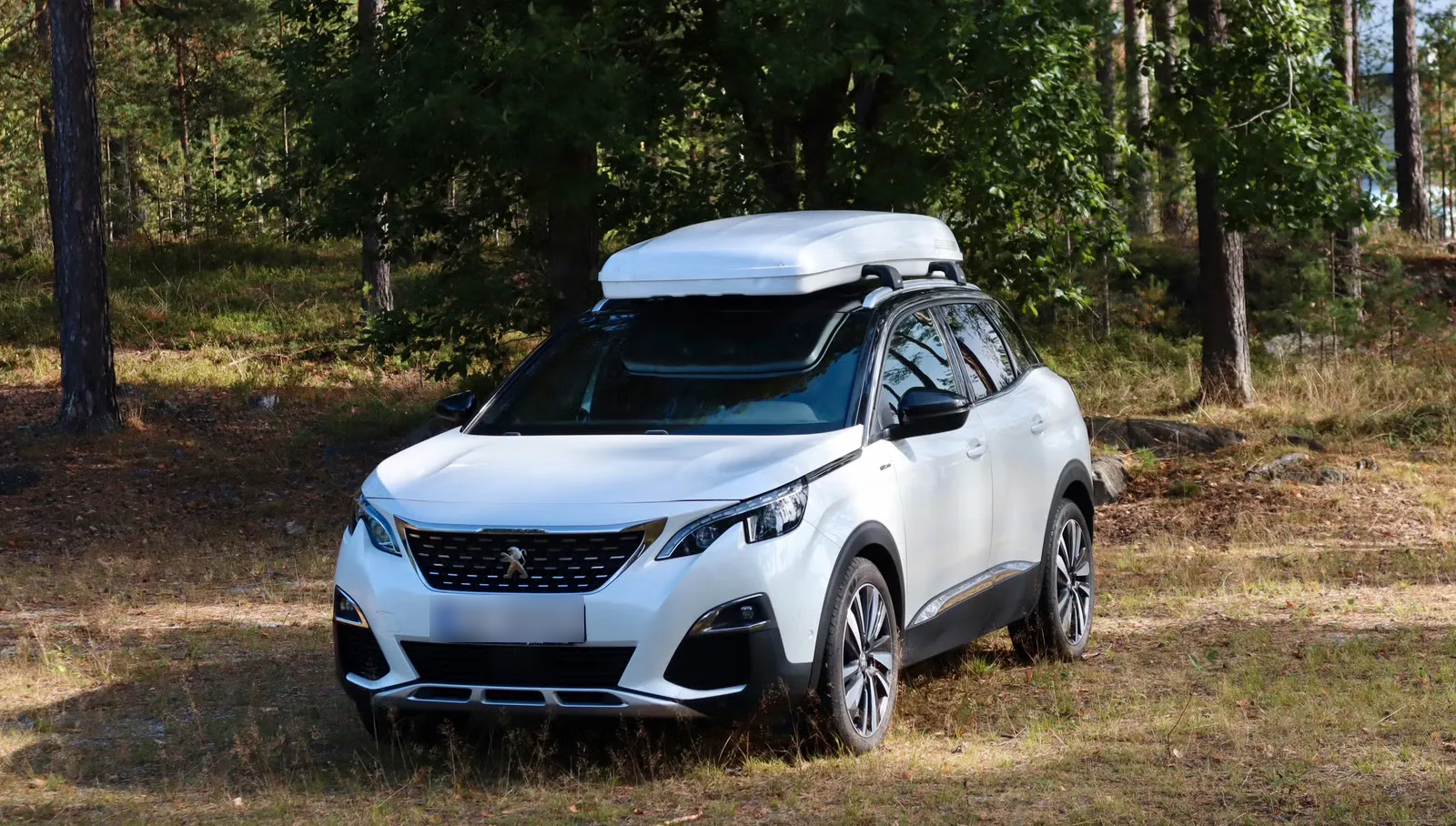 Peugeot 3008 2019 4