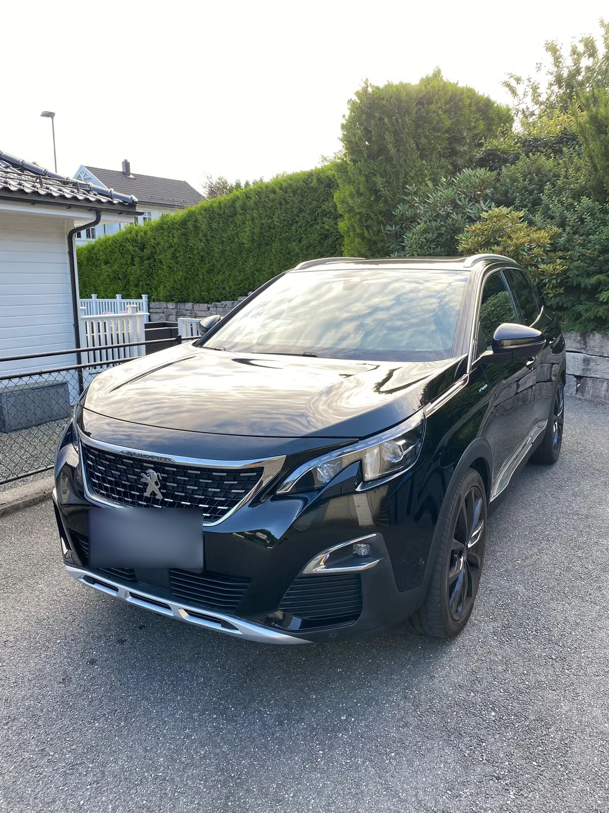 Peugeot 3008 2020 1