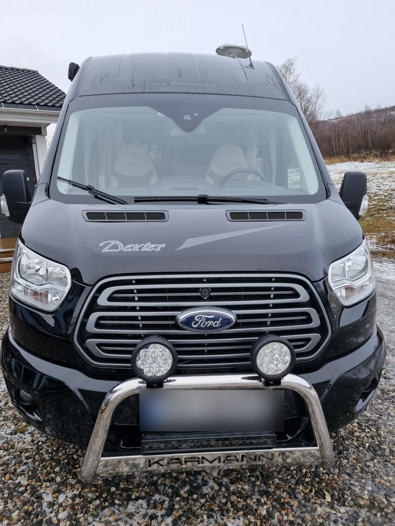 Ford Dexter 560 2019 3