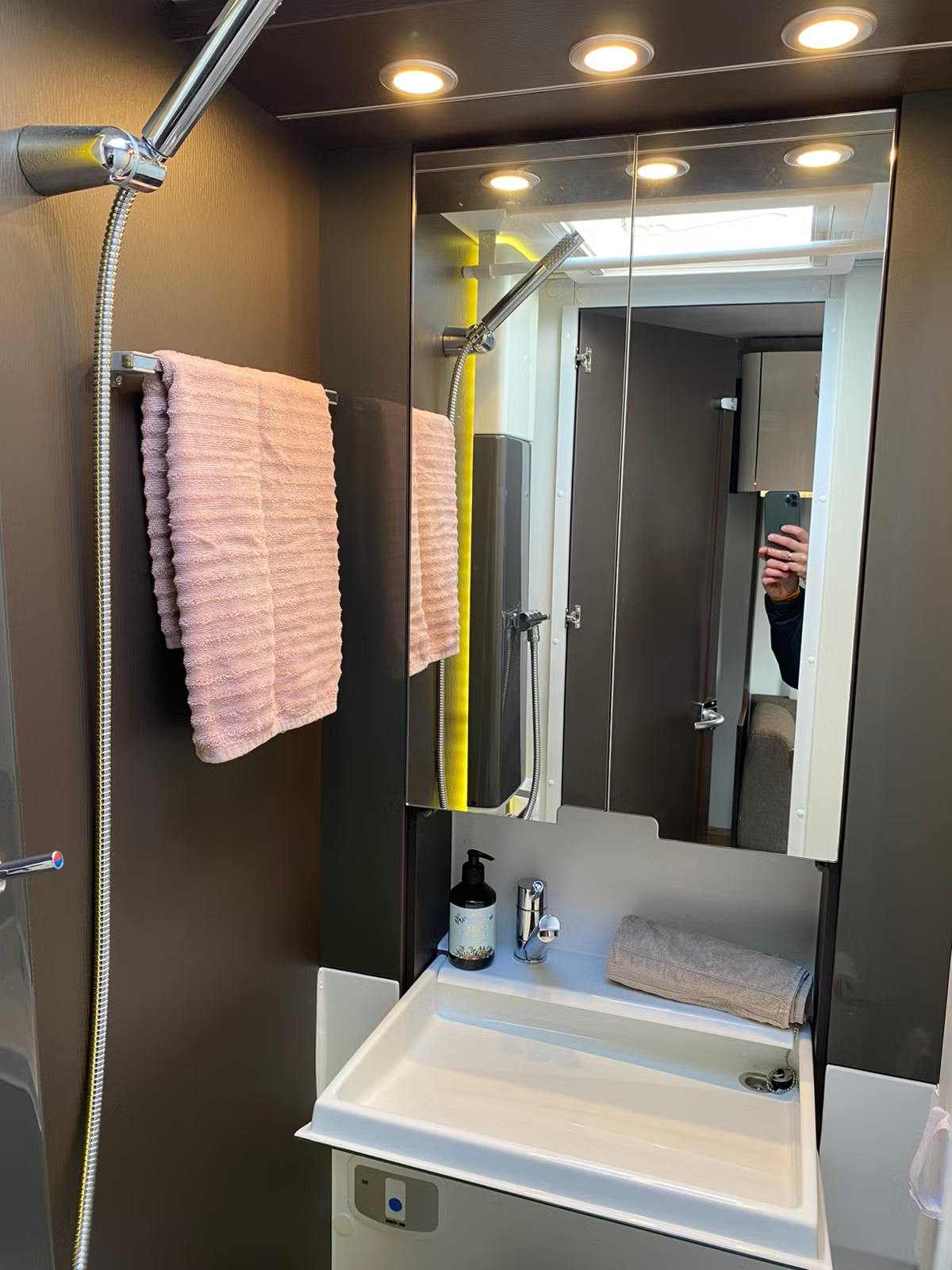 Adria Alpina 663UK 2017 25