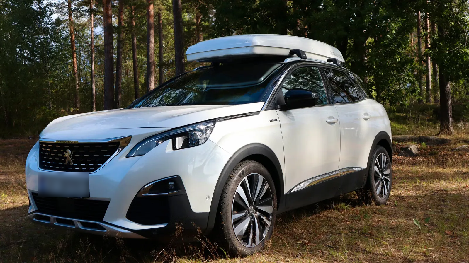 Peugeot 3008 2019 16