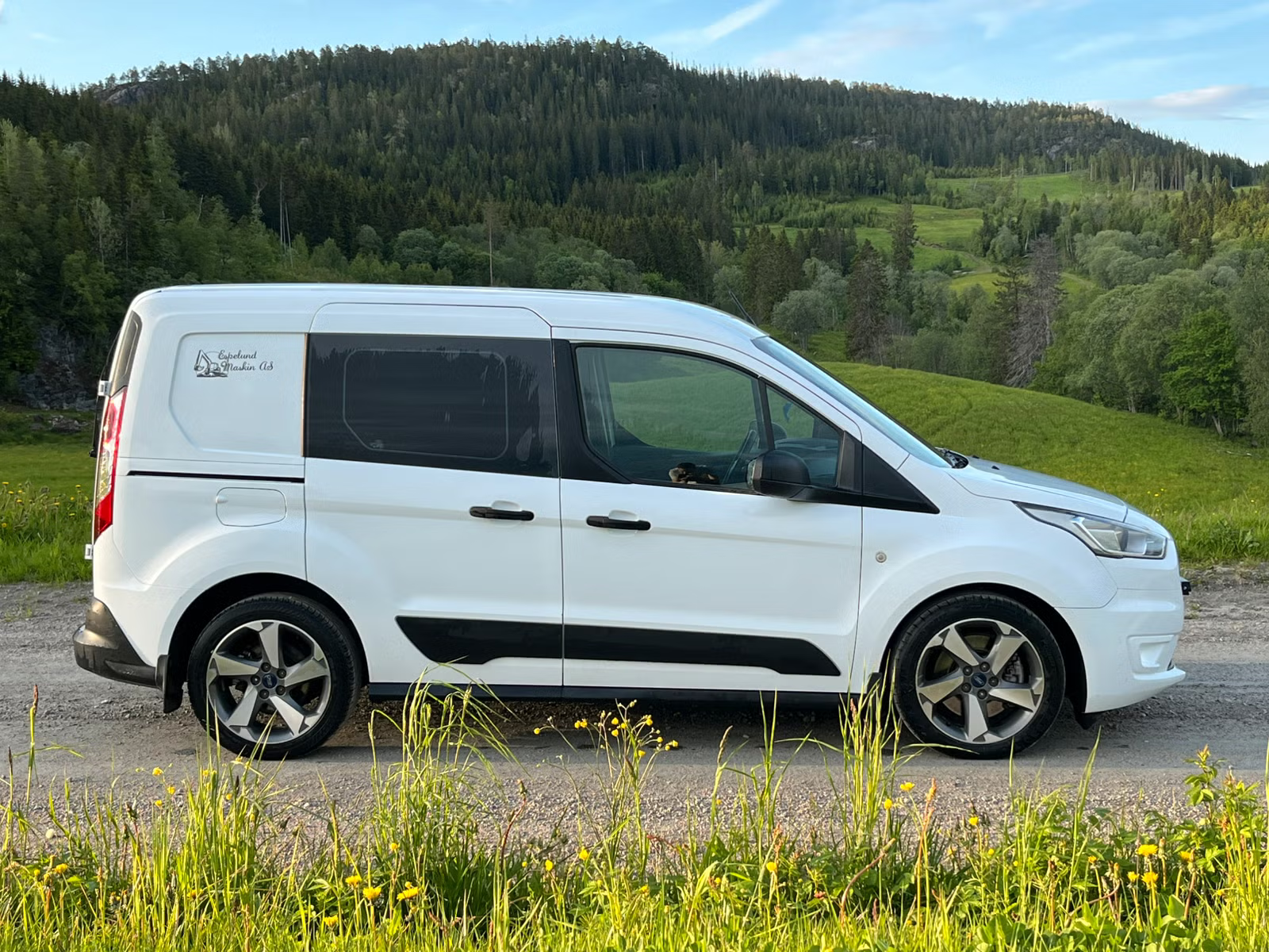 Ford Transit Connect 2019 3