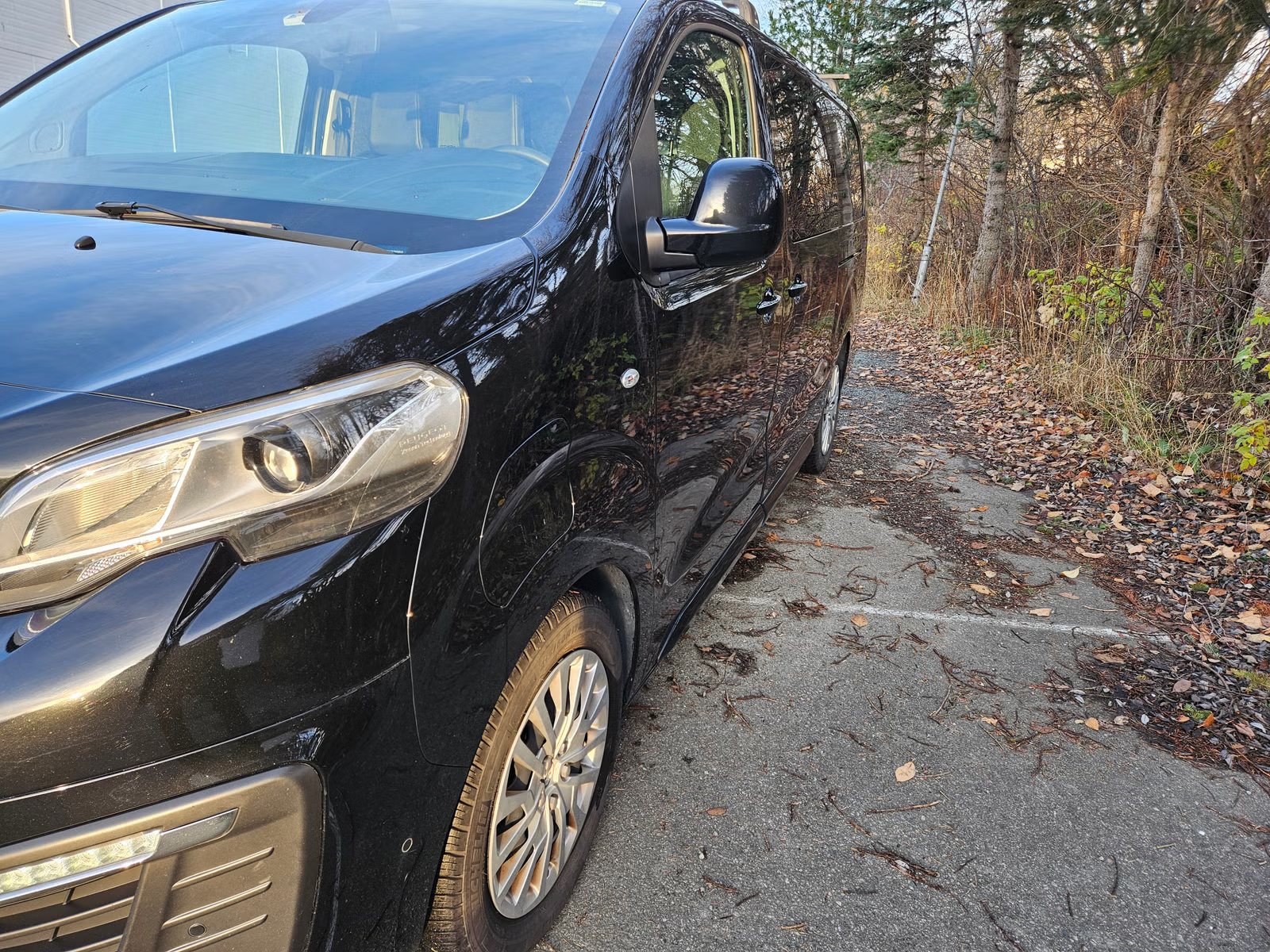 Peugeot e-Expert 2021 10