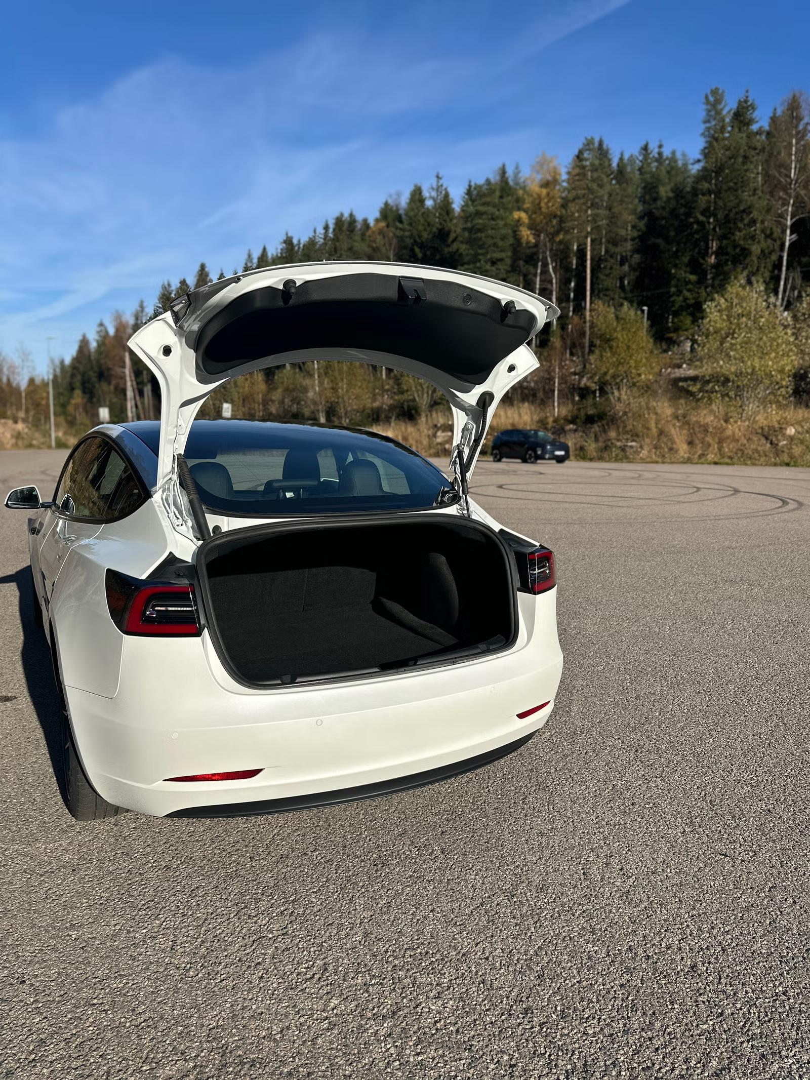 Tesla Model 3 Standard Range 2022 11