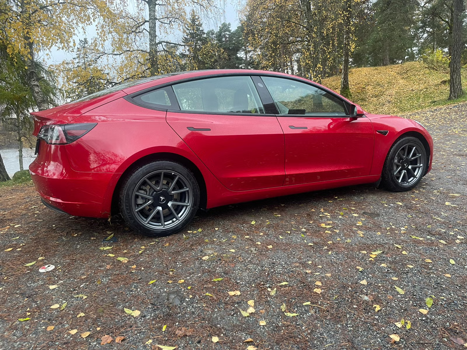 Tesla Model 3 Standard Range Plus 2021 8