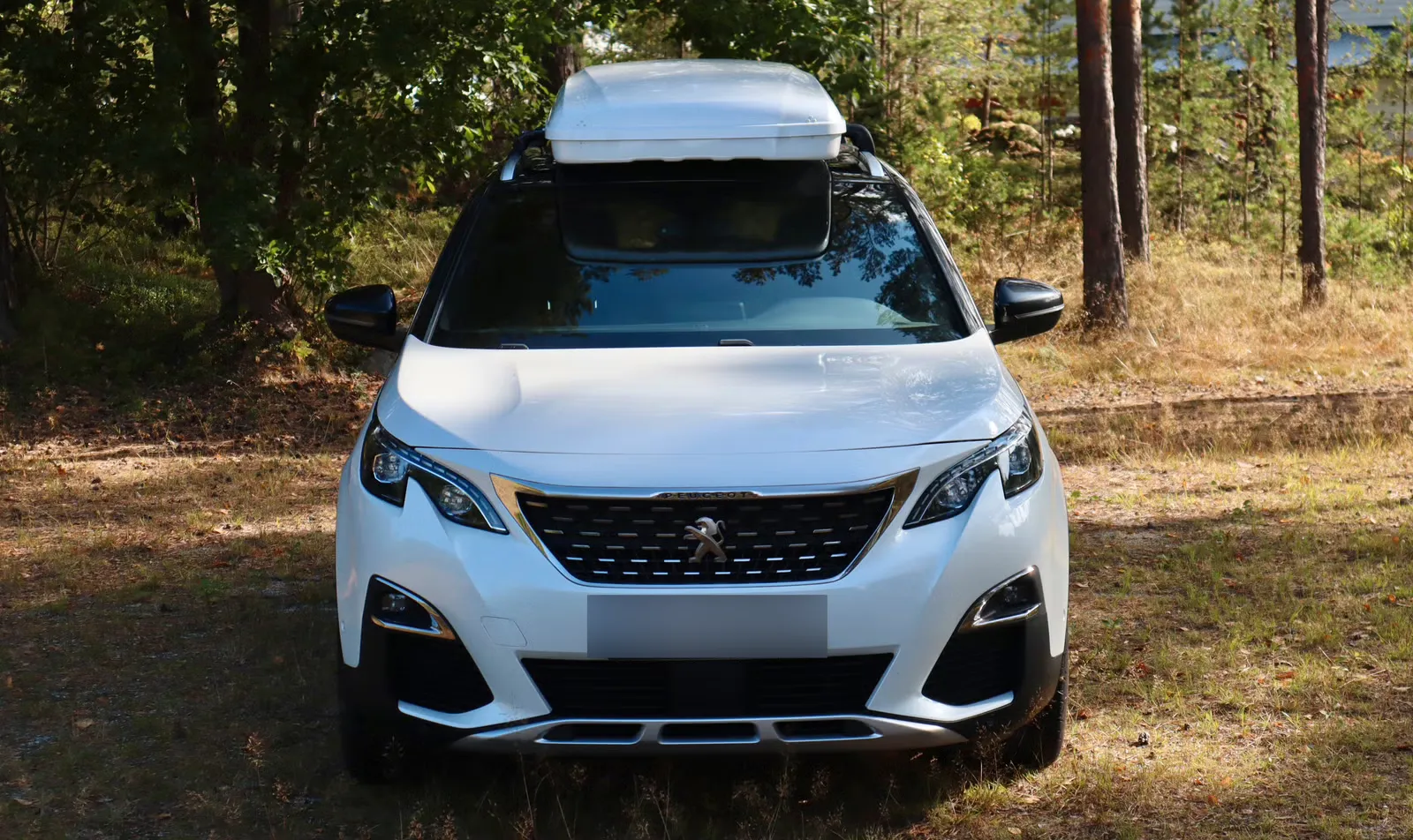 Peugeot 3008 2019 15