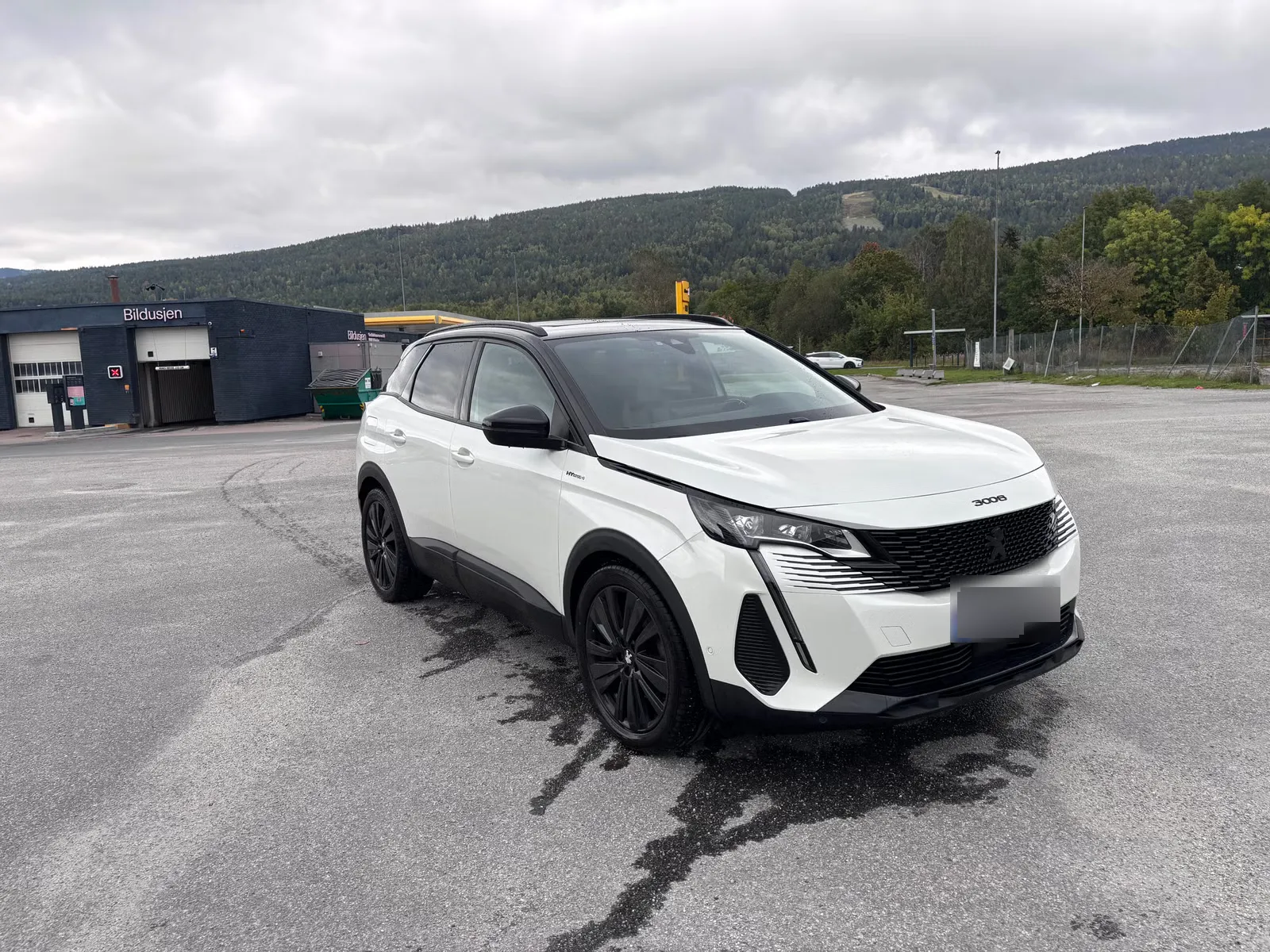 Peugeot 3008 2021 16