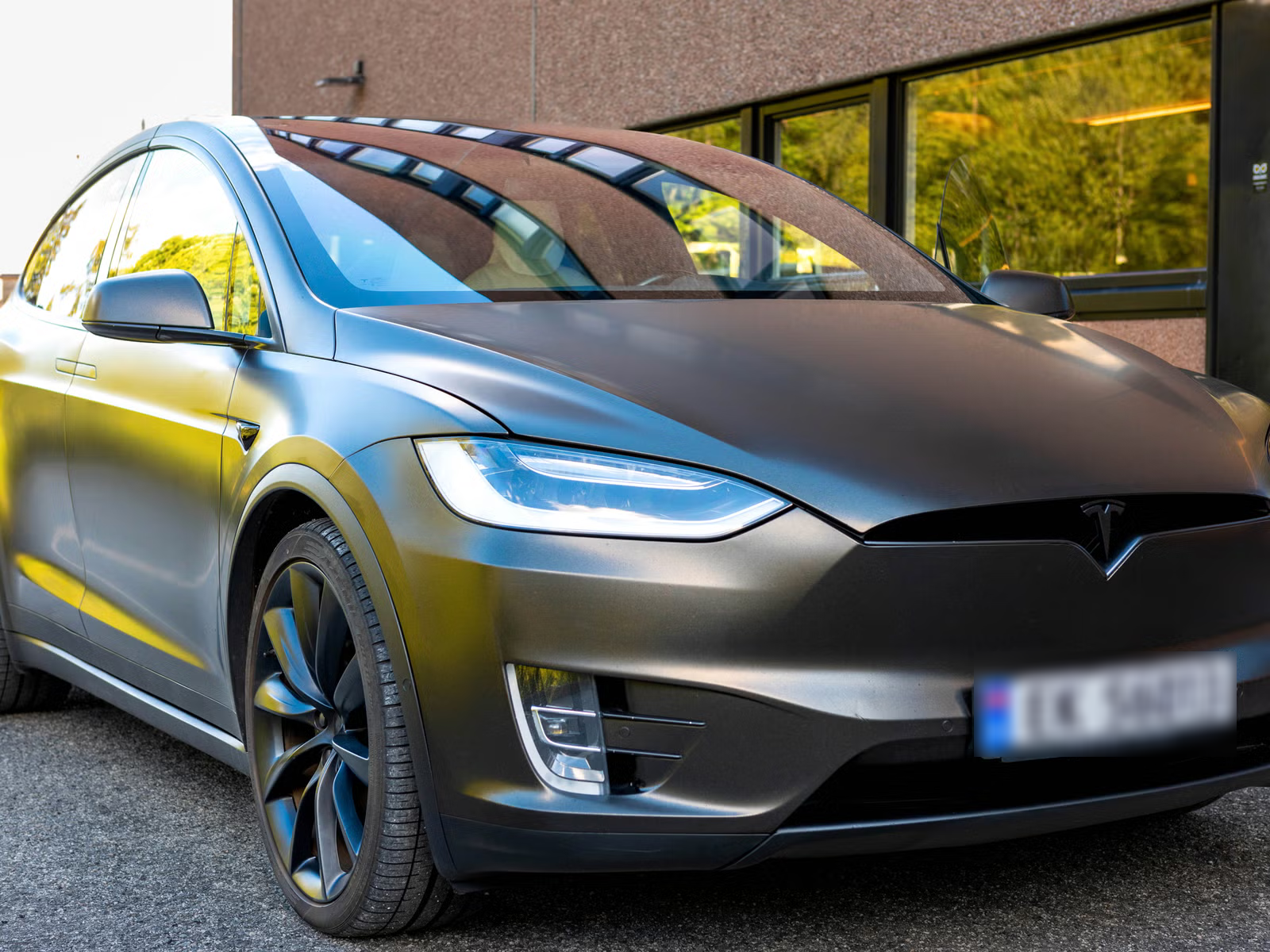 Tesla Model X 100D 2017 5