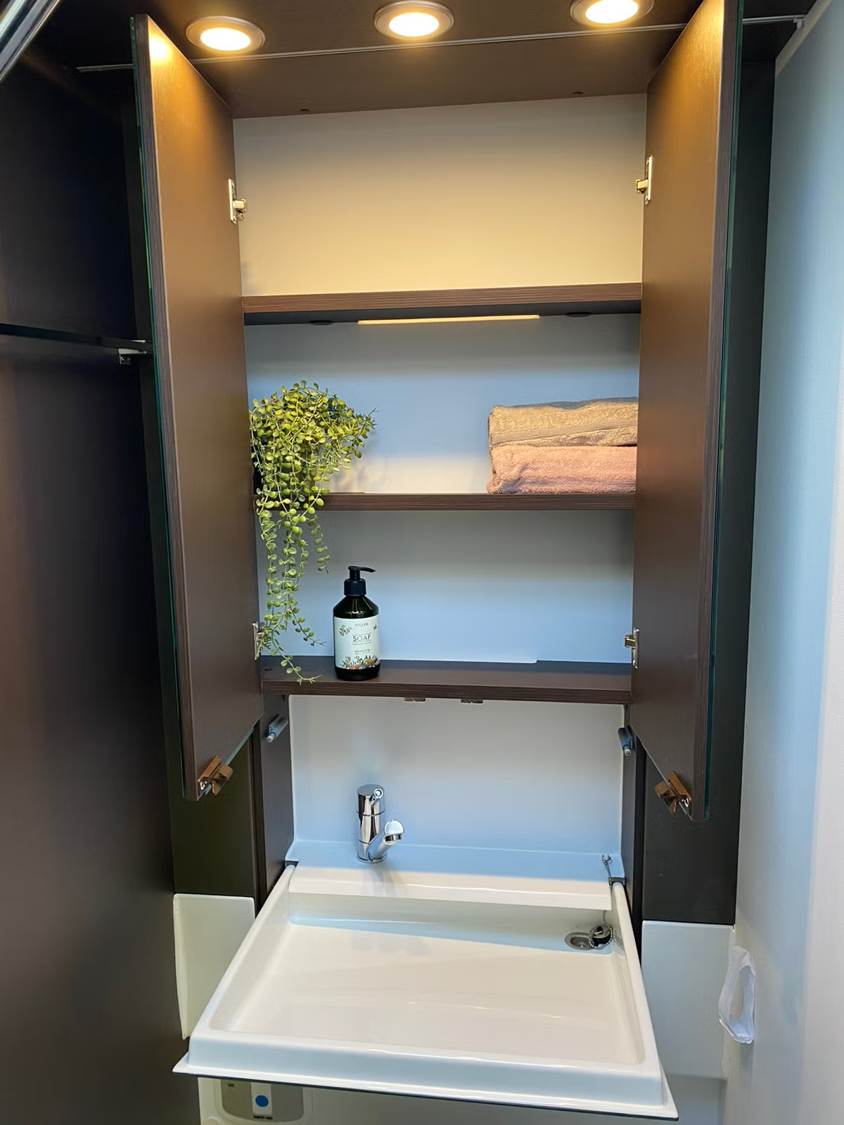 Adria Alpina 663UK 2017 30