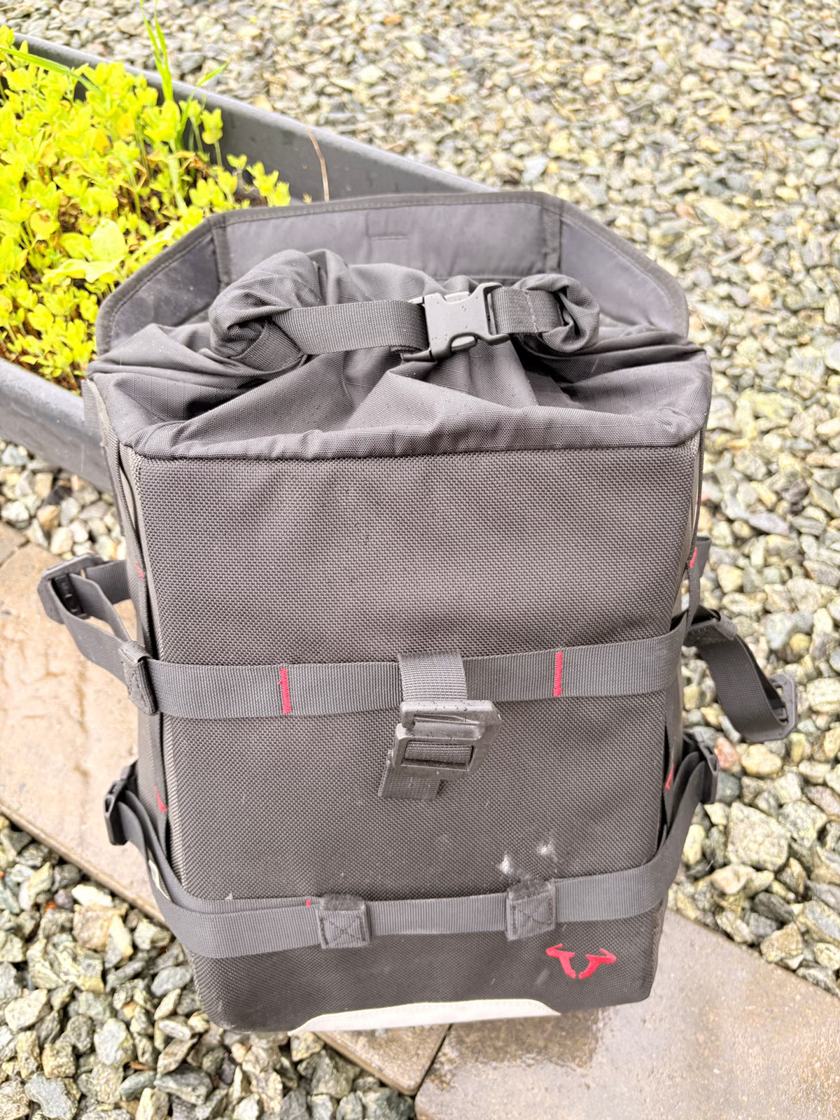 Ducati Monster 950 + 2021 13