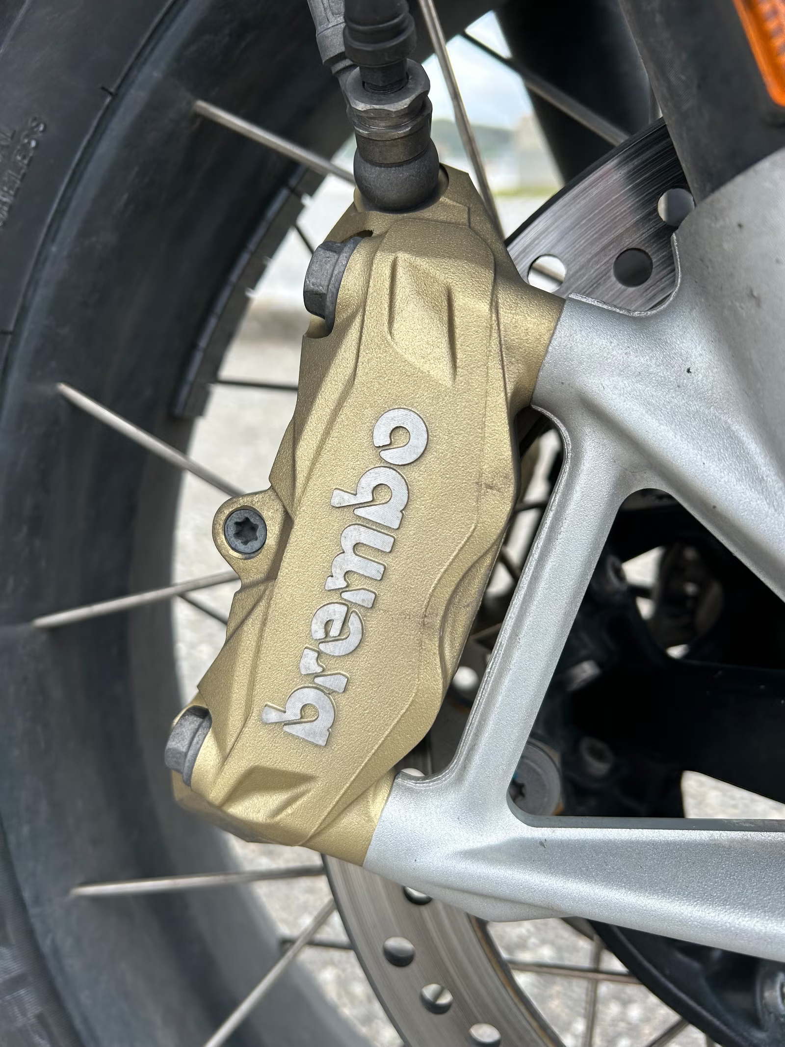 BMW R 1250 GS Trophy 2024 12