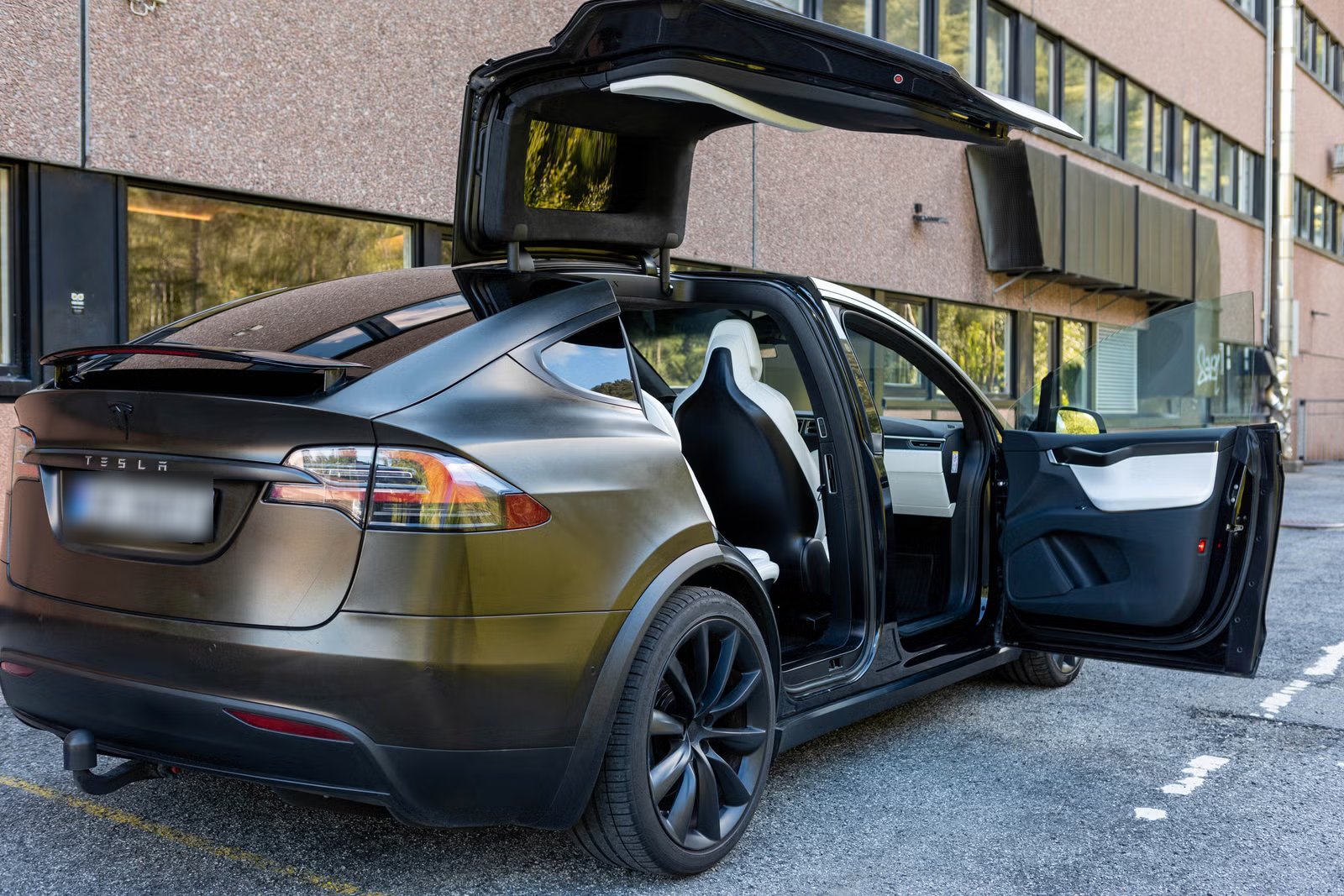 Tesla Model X 100D 2017 4