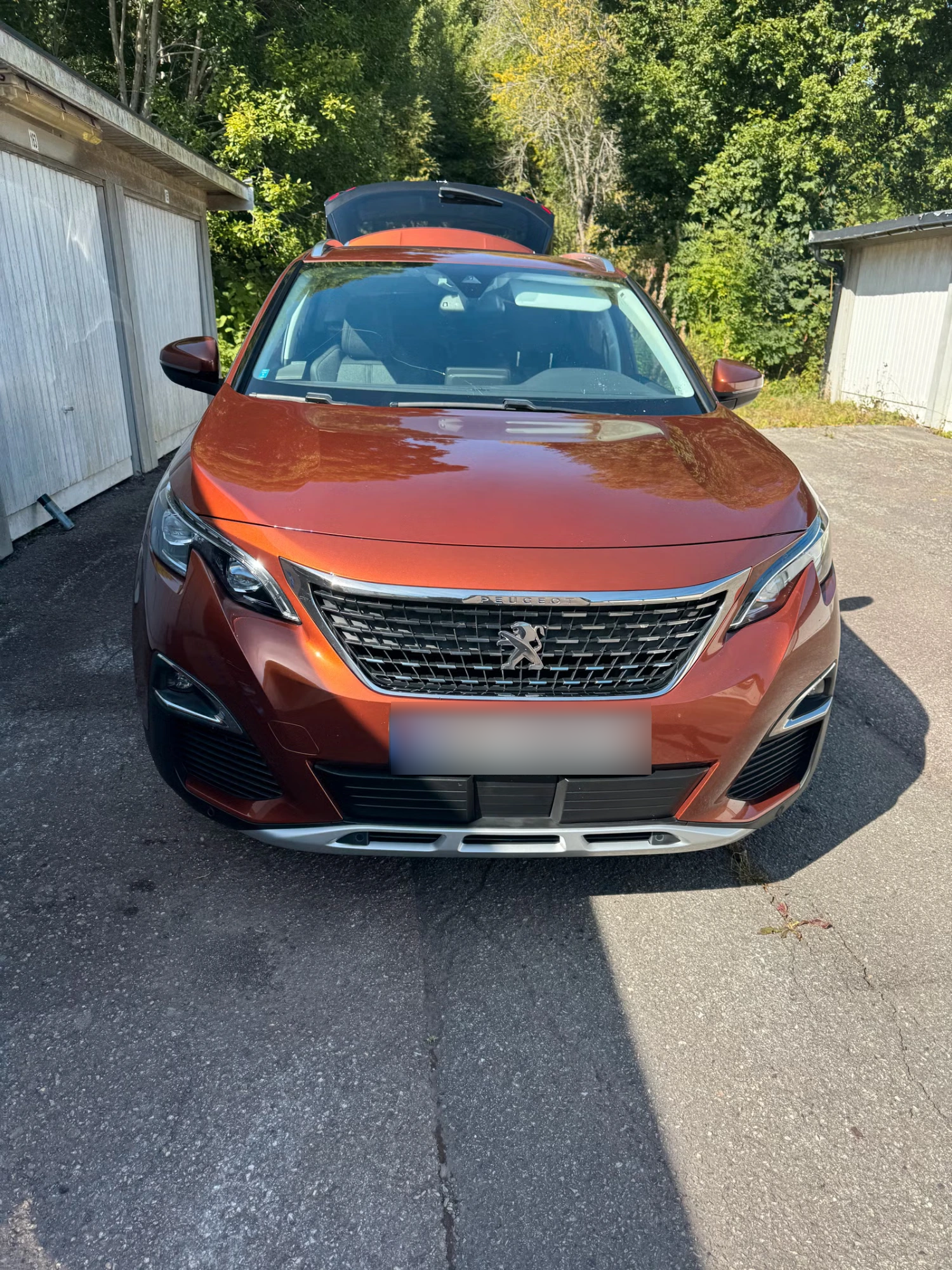 Peugeot 3008 2018 13