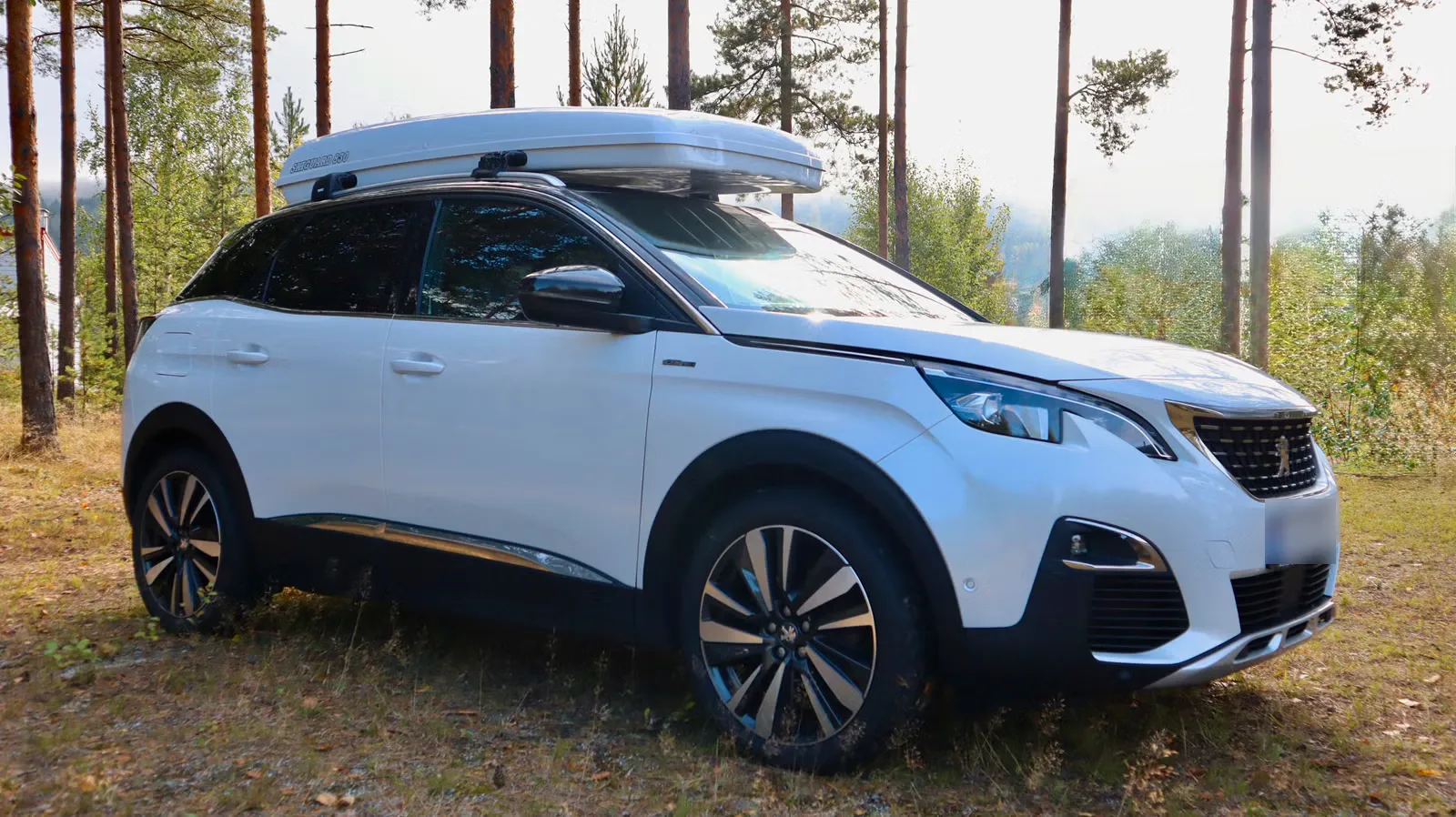 Peugeot 3008 2019 14