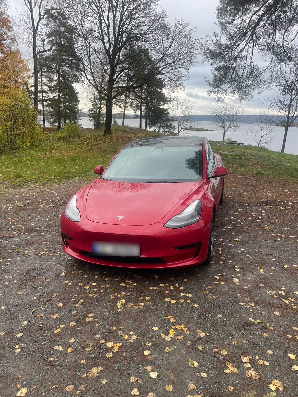 Tesla Model 3 Standard Range Plus 2021 13