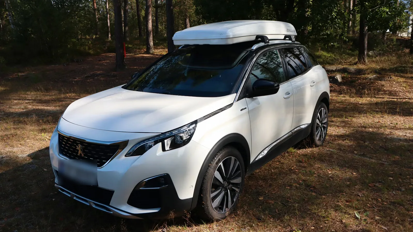 Peugeot 3008 2019 11