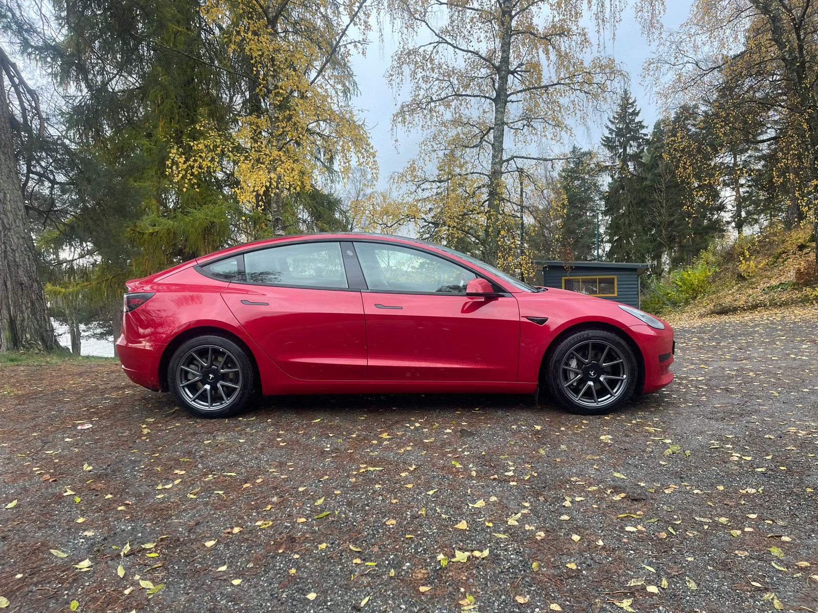 Tesla Model 3 Standard Range Plus 2021 4