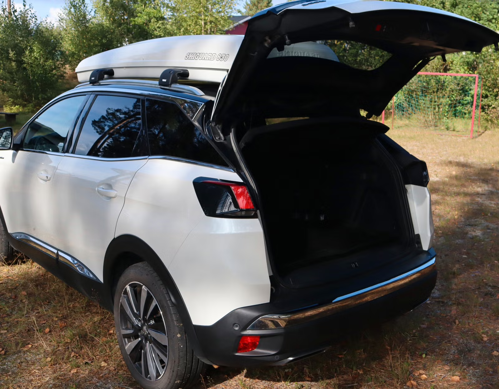 Peugeot 3008 2019 12