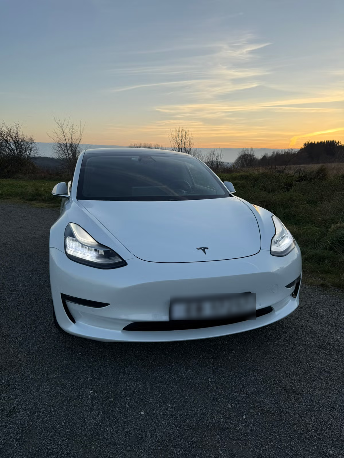 Tesla Model 3 Long Range AWD 2019 2