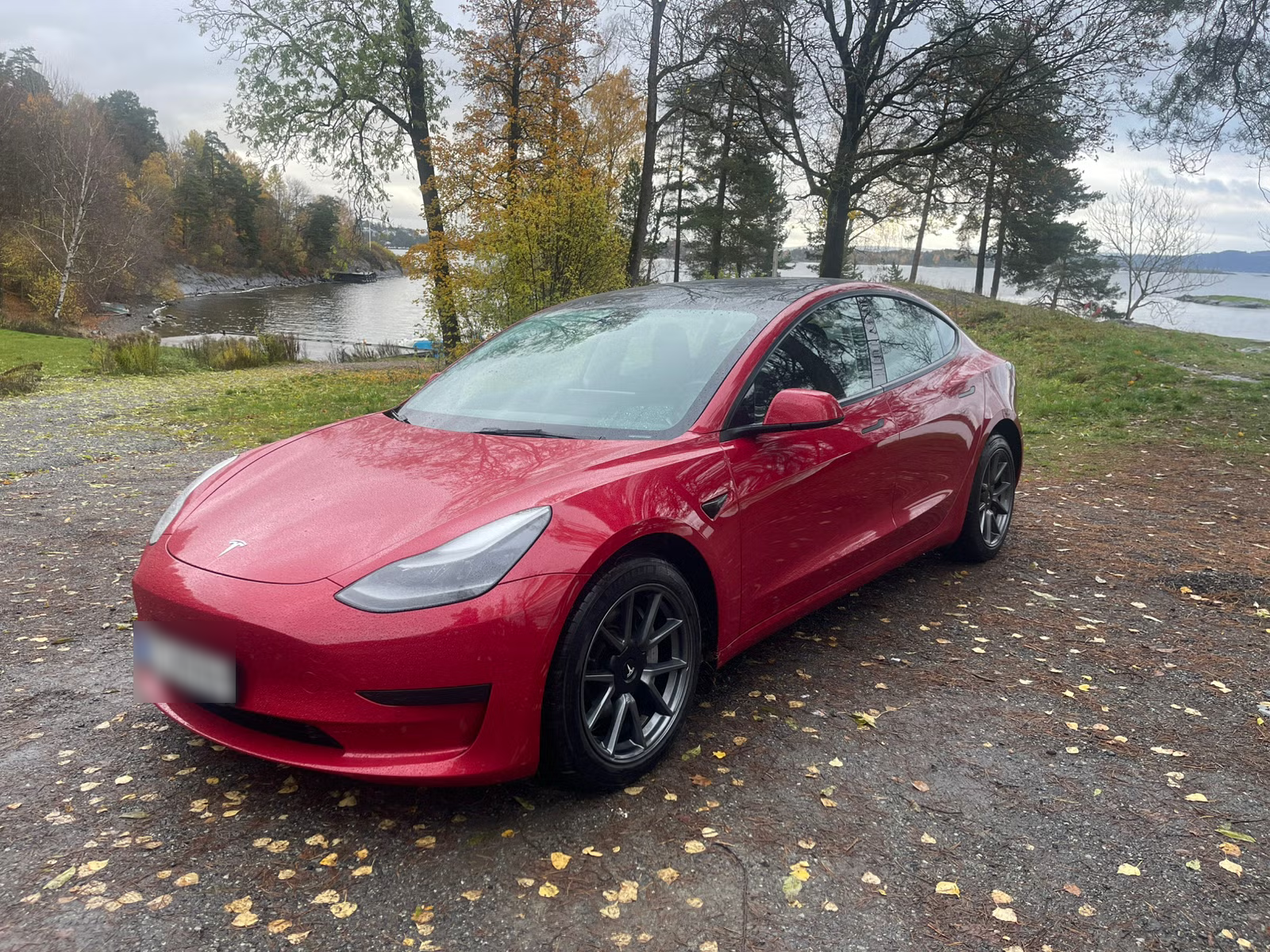 Tesla Model 3 Standard Range Plus 2021 1