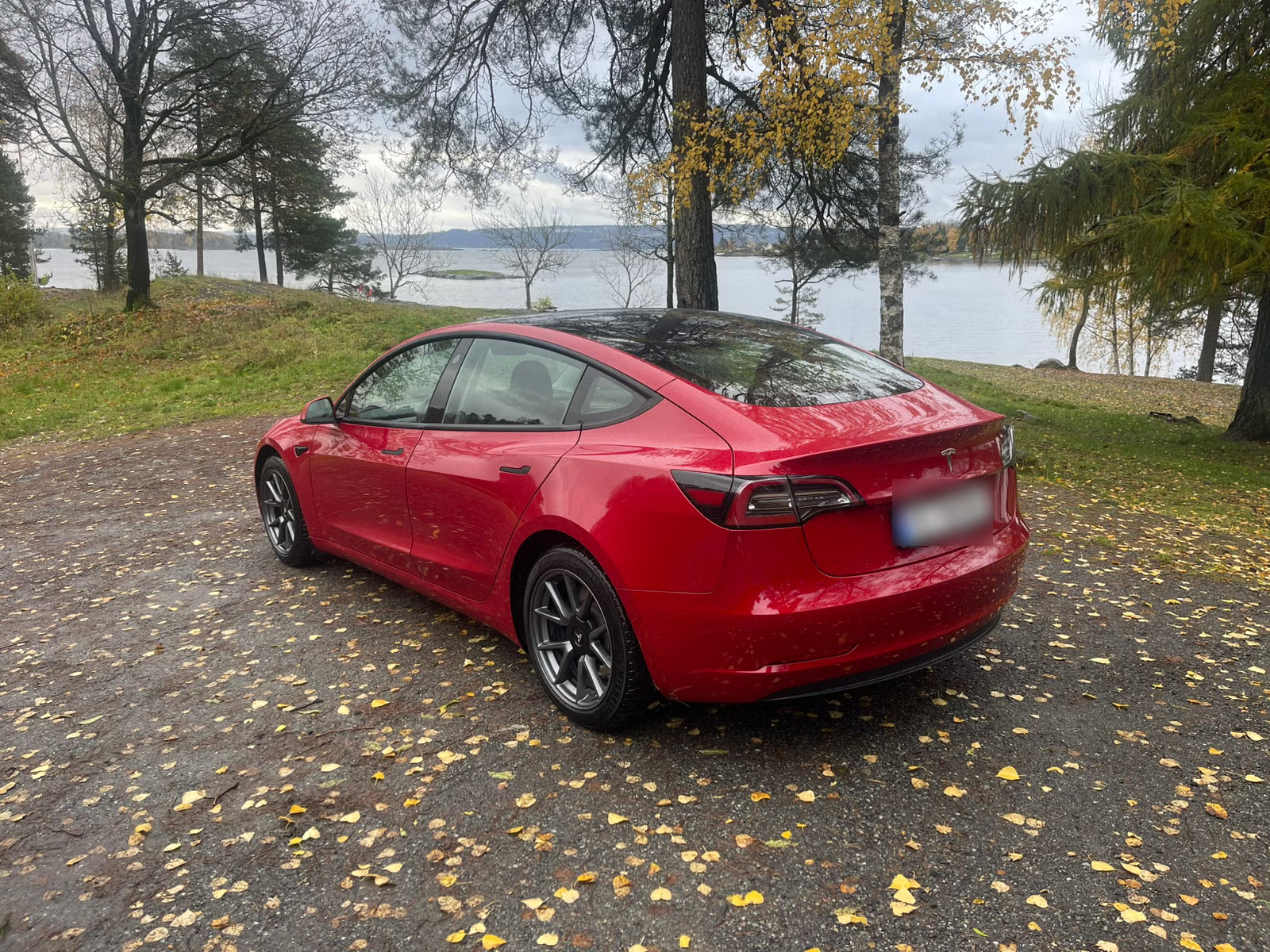 Tesla Model 3 Standard Range Plus 2021 2